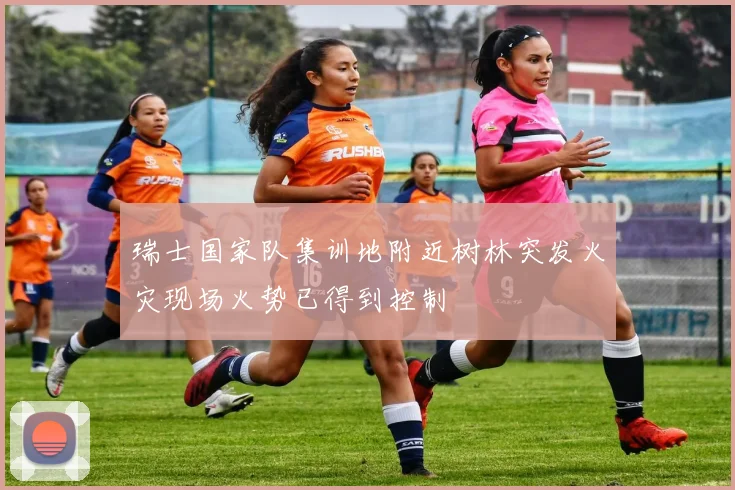 瑞士国家队集训地附近树林突发火灾现场火势已得到控制